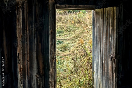 Open Wooden Barn Door Framing an Overgrown Meadow