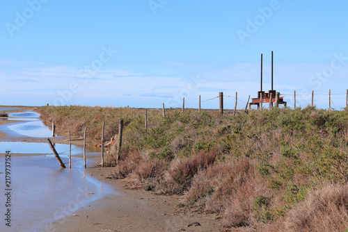 Bild auf Leinwand Paysage sauvage de la Camargue