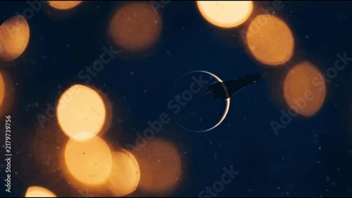 Warm Festive Bokeh Lights in Midnight Blue Space, Subtle Rim Lighting for Magical Holiday Celebrations