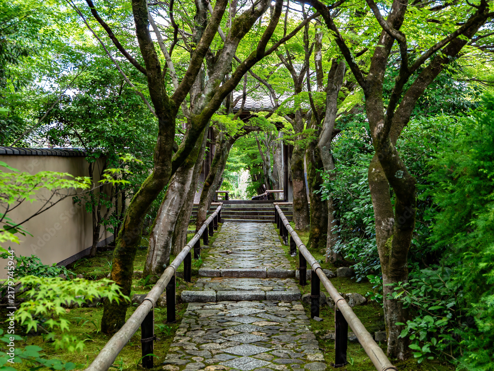 Obraz premium stone path in lush temple garden