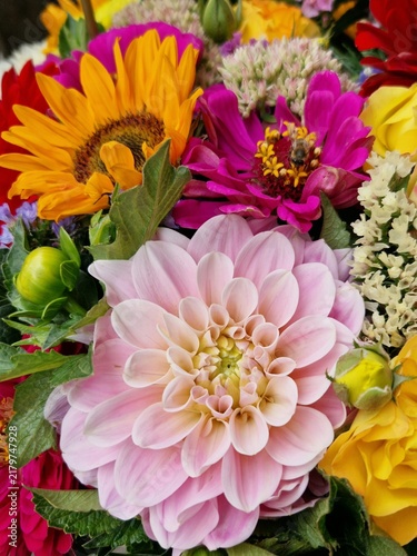 colorful bouquet of summer flowers 
Flower wall background
yellow sunflower, pink zinnia, pale rose and red dahlia
