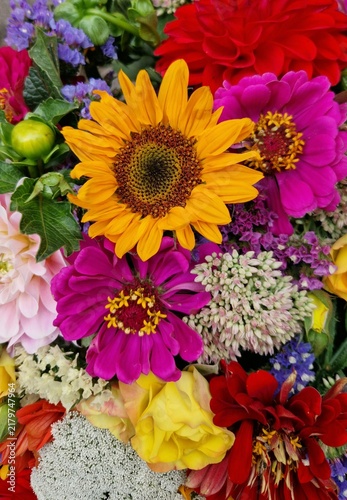 colorful bouquet of summer flowers 
Flower wall background
yellow sunflower, pink zinnia, pale rose and red dahlia