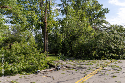 Fallen Trees Block Road After Storm, A road is impassable due to numerous fallen trees and downed power lines following severe weather