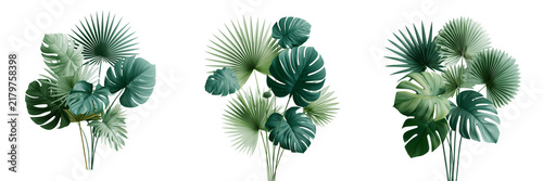 Set of Dense cluster of tropical palm leaves forming a natural canopy, sunlight filtering through the foliage, rich green tones on transparent png background. Ai generated