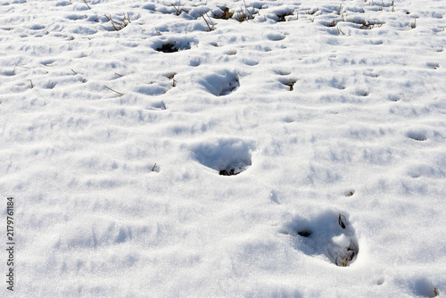 Fotografie Snowy surface with footprints and patterns