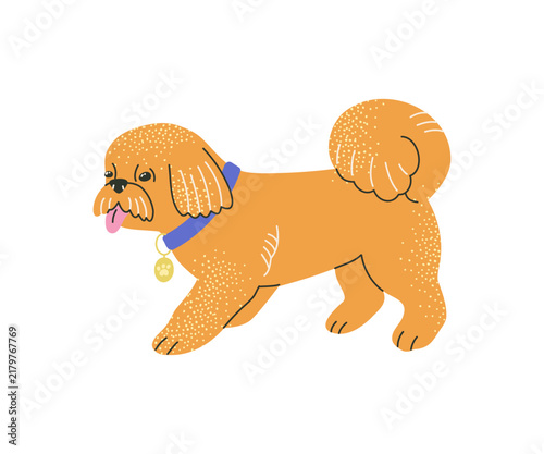 An illustration of a cute poodle. It is a medium-sized dog and a family pet.