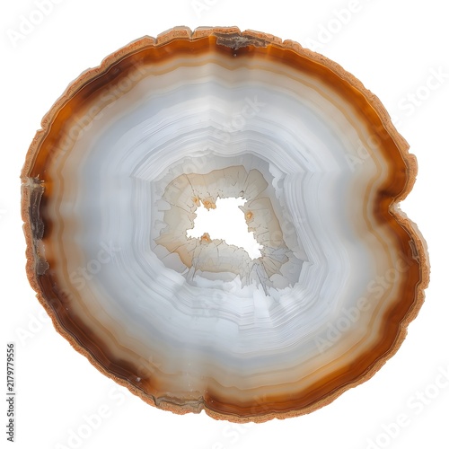 Obraz na płótnie Natural Translucent Agate Stone Slice with Layered Brown and White Patterns