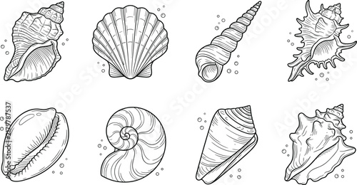Canvas Print Collection of eight different seashells and marine mollusks in black and white l