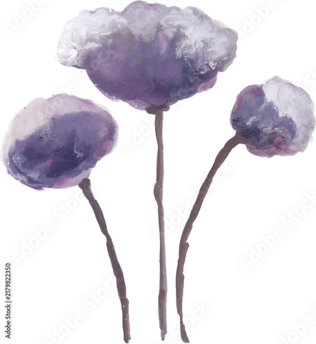 Three Purple Flowers Watercolor Illustration