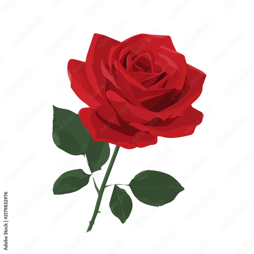 Fototapeta premium A simple and modern flat 2D vector of a Red Rose, isolated on a pure white background.