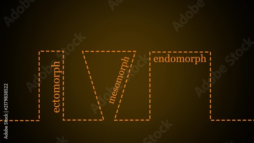 Body types icons set. Ectomorph, mesomorph and endomorph. Continuous one line drawing. Animation of 4k video.