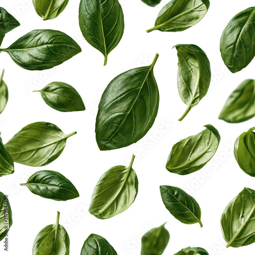 Flying green organic basil leaves isolated on a white background