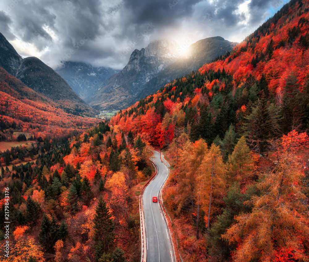 Obraz premium Aerial view of winding mountain road in forest at sunset in autumn. Alps, Italy. Curved alpine road, snowy rocks, trees, red leaves, dramatic cloudy sky with clouds. Colorful. Top view of road in fall