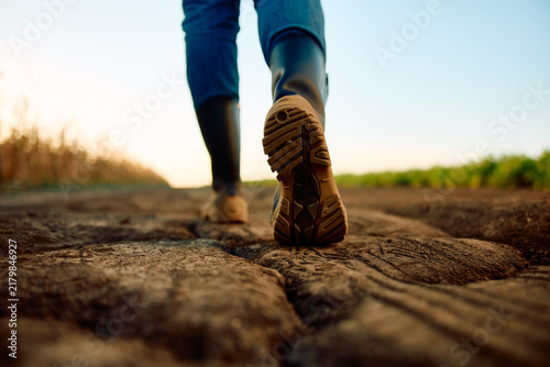 Farmer in boots walking on parched soil, inspecting crops affected by climate change and lack of rain