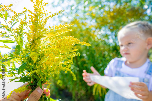 фотографія Blooming ragweed in foreground and blurred girl holding allergy medicine