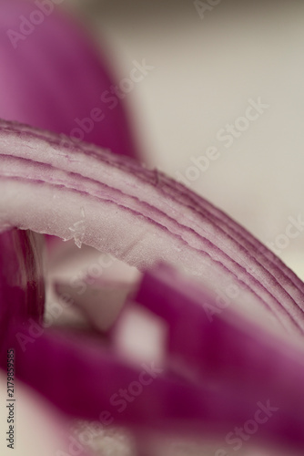 Bio Zwiebeln rot