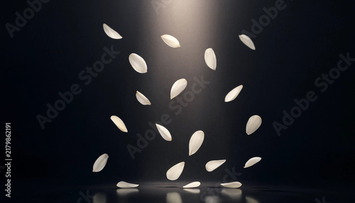 White flower petals falling down against a dark background