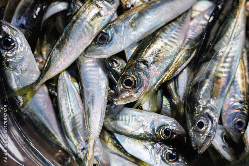 Obraz premium Horse Mackerel Seafood Texture Full Frame Background