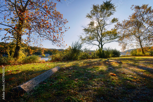 autumn in the park
