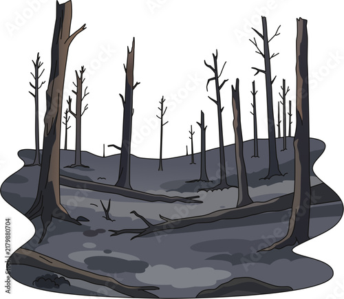фотографія Bare scorched trees standing in a wildfire's ashen aftermath