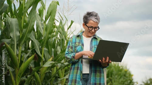 Female farmer using laptop inspecting corn cob quality