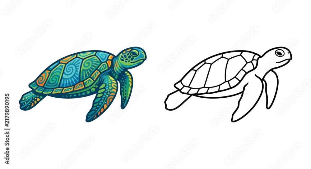 Fototapeta premium Sea turtle illustrations one colorful and one line drawing on white background