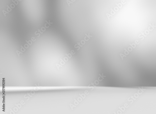 Empty gray room studio with shadow on wall and floor for product presentation. Sunlight and shadow concept. Minimal summer backdrop design. Cosmetic, beauty and fashion showroom mock up.
