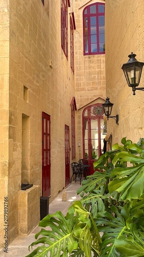 Принти на полотні Narrow limestone passage with red windows, traditional wall lanterns and large green plants in historic Mdina, Malta