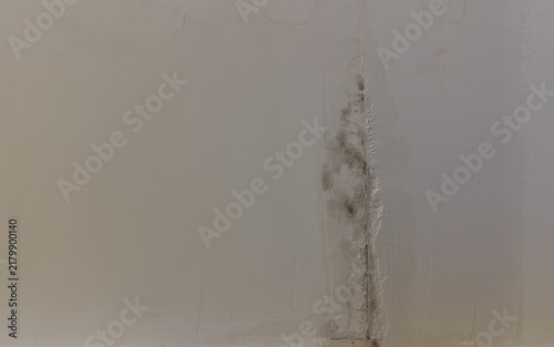 Black mold and water damage on a white ceiling – home repair for moisture issues