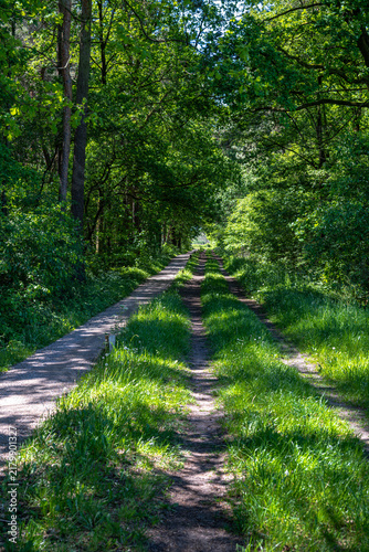 Landscape in the Haaksbergen Nature Preserve along the Nederlandroute in the Netherlands