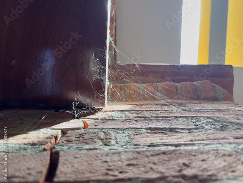 Close-up of a dusty spiderweb illuminated by sunlight against an old brick surface