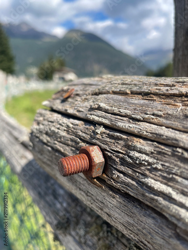 Fotografie Rusty nail in weathered wood
