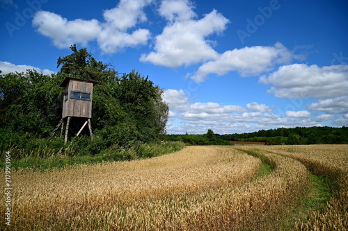 rural landscape with blue sky