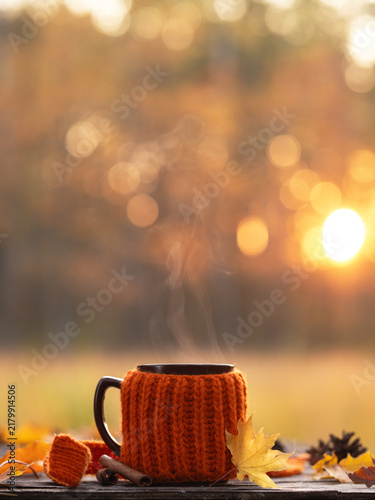 A cup of tea or coffee in a knitted cover on a wooden table in an autumn forest at sunset.