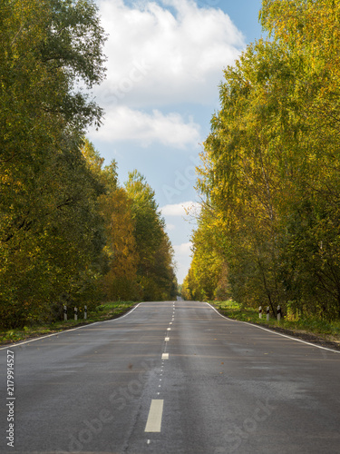 An autumn asphalted forest road, the beginning of autumn.