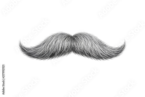 Mustache Vector