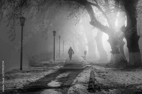 misty morning fog