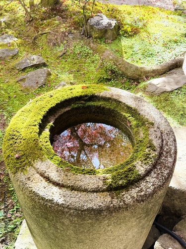 Photography Traditional Japanese stone water basin chozubachi covered in moss with autumn fo