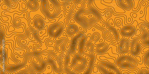 Topographic map pattern in orange and brown hues, creating a textured background of contour lines depicting elevation changes.