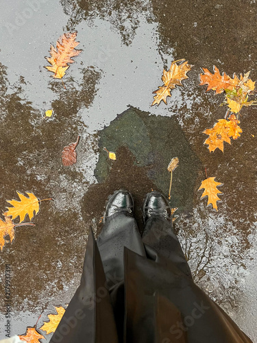 Obraz na plátně Black boots standing in a puddle among yellow autumn leaves