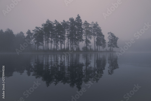 Atmospheric misty landscape with silhouettes of coniferous trees reflected in a calm lake