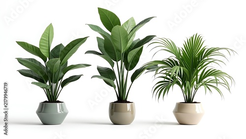 Three different green house plants in decorative round grey pots for home interior decoration