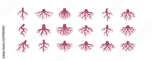 A collection of different tree root shapes displayed as flat maroon silhouettes on a light background