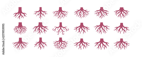 Set of tree root silhouettes icons