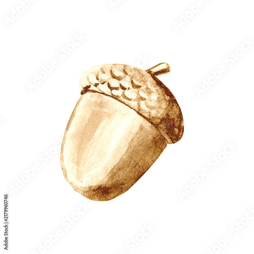 Golden acorn with detailed cap isolated on transparent background. Elegant metallic botanical element for autumn, woodland, fall, Thanksgiving and seasonal designs.
