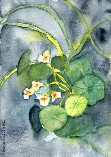 Botanical Leaves and Small Flowers on Dark Background, Expressive Hand-Painted Watercolor