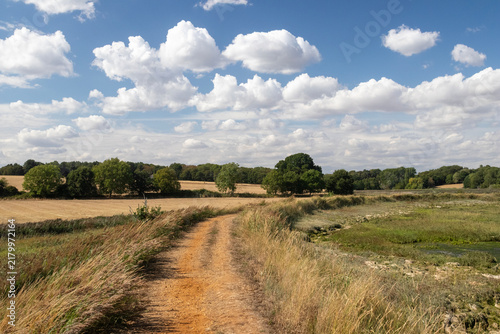 Footpath along Levington Creek, Levington, Suffolk, United Kingdom