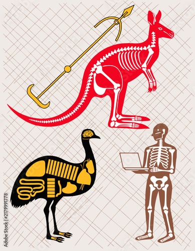 Anatomical kangaroo skeleton, emu internal organs and human skeleton with laptop vector