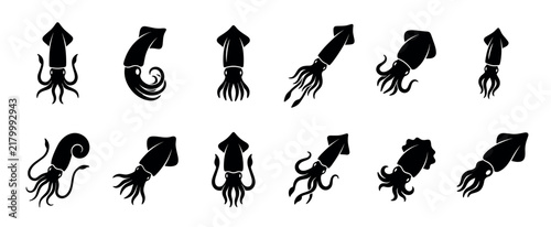 Collection of black squid silhouettes in various dynamic poses showing the marine animal swimming with tentacles, presented as a minimalist graphic icon set for design elements