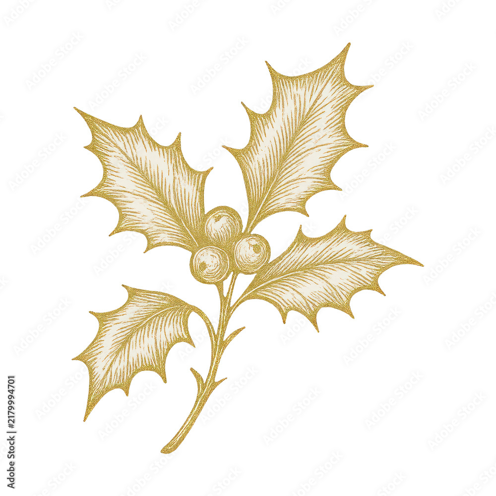 Obraz premium PNG Golden holly leaves illustration.